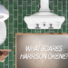 What Scares Harrison Okeene?