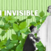 I’m Invisible